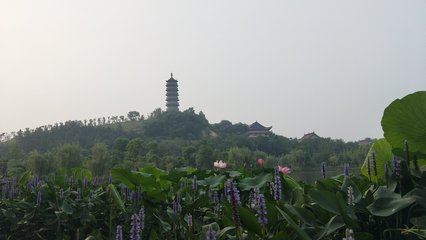 馬鞍山市當(dāng)涂縣提署中路 便利生活與城市繁華的交匯點